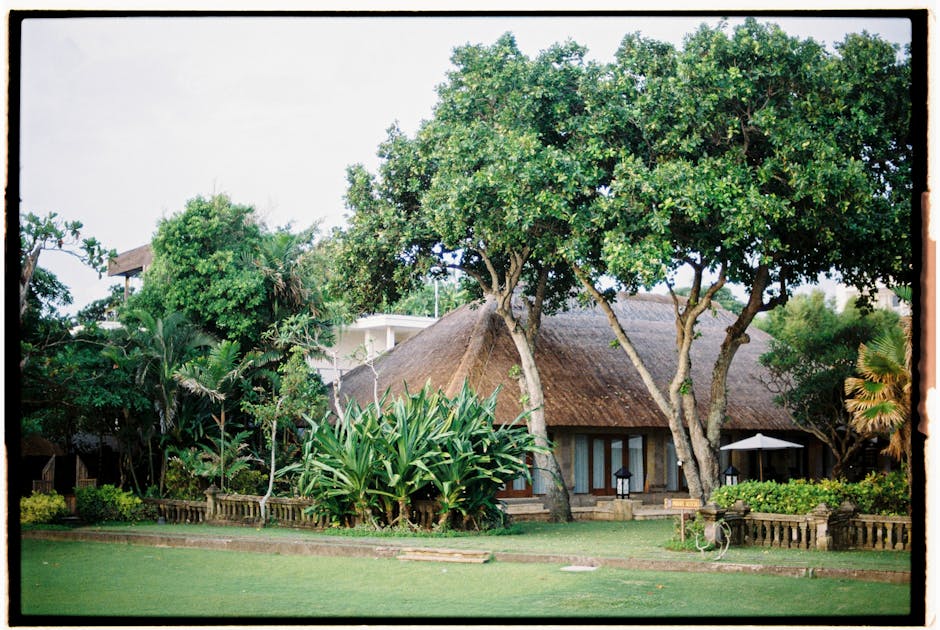 Countryside Villas in Demak Indonesia for a Unique and Peaceful Stay